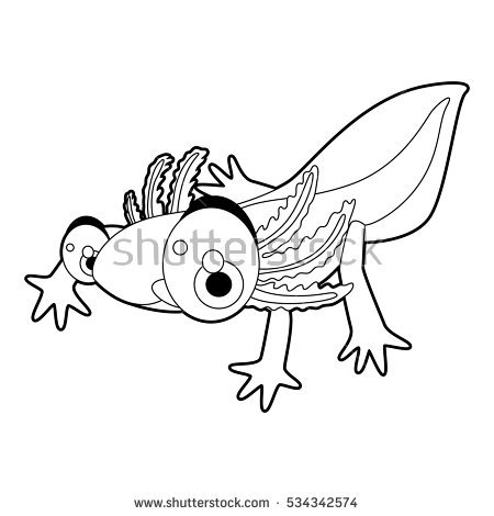 450x470 Axolotl Animal Coloring Pages