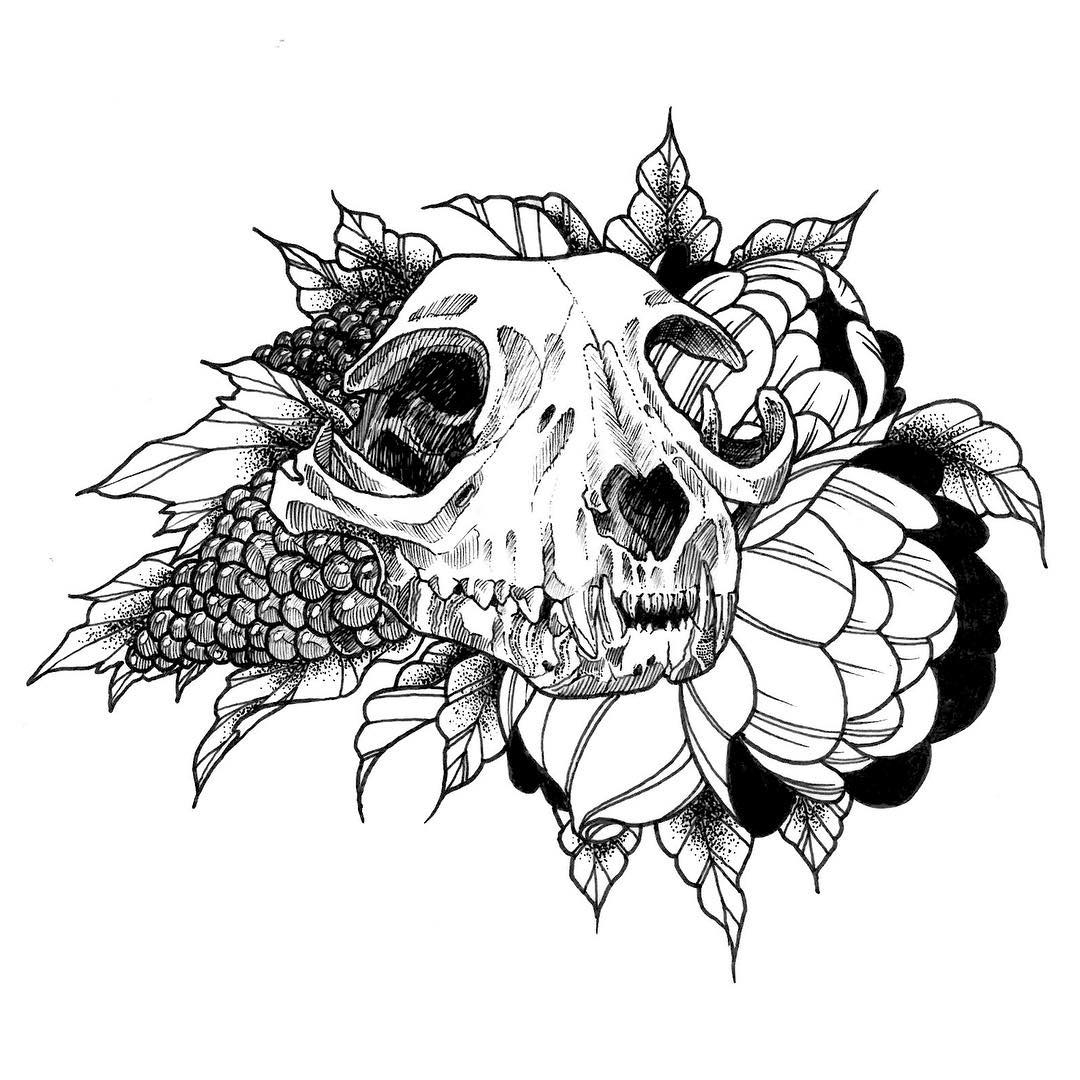 1080x1080 Animal Skull Drawing