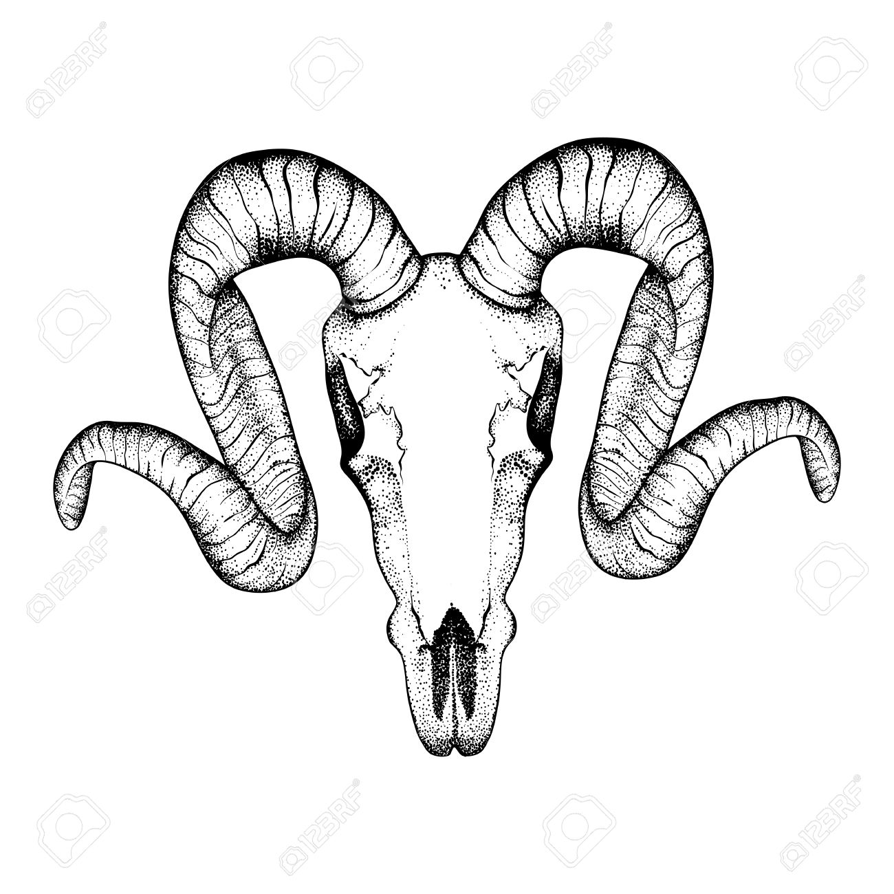 1300x1300 Hand Drawn Goat Skull Doodle Vector Illustration. Dotwork Fullface