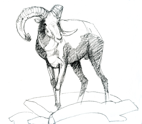 500x434 Ram Animal Drawing Hd Wallpapers On Astrology