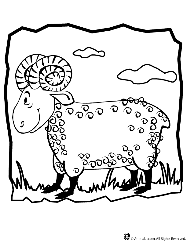 612x792 Ram Coloring Page Animal Jr.