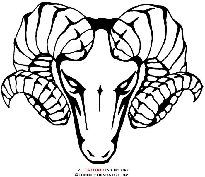 Animal Ram Drawing at GetDrawings | Free download