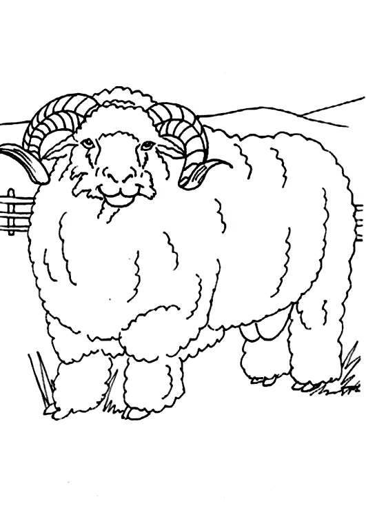 531x750 Ram Coloring Page