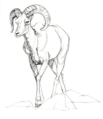 350x403 Fast At The San Diego Wild Animal Park The Zoo