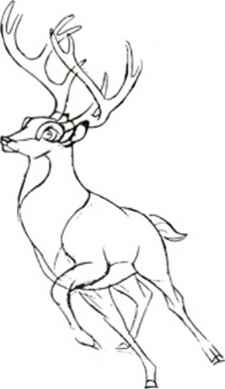 225x389 Animal Sketches