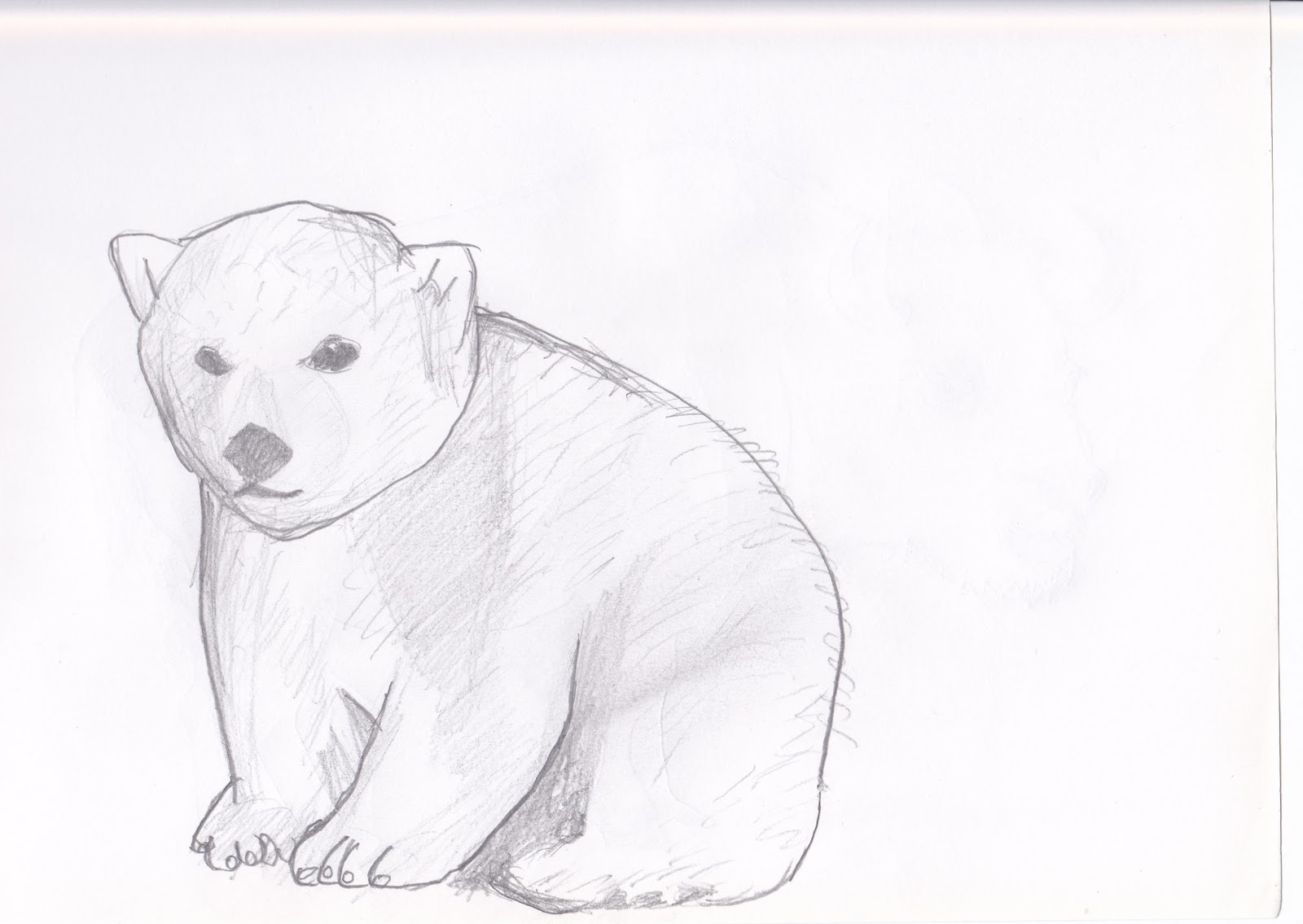 1600x1135 Pictures Of Animals Sketches Pictures Of Nnature