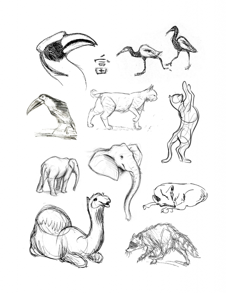 791x1024 Drawings Animals
