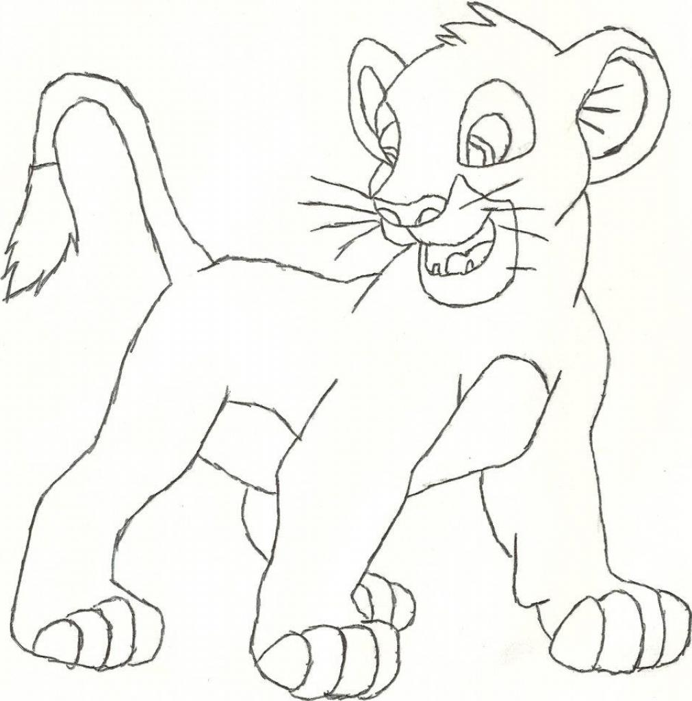 1011x1024 Animal Pictures For Drawing 6iro9gyik 700723 A Animal