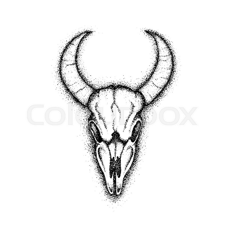 800x800 Dotwork Cow Skull. Vector Illustration Of Boho Style T Shirt