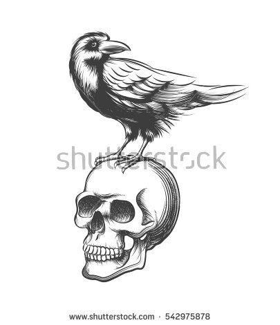 405x470 Drawn Crow Skull Drawing