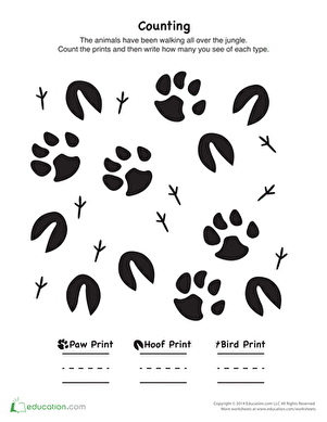 Animal Tracks Drawing at GetDrawings | Free download