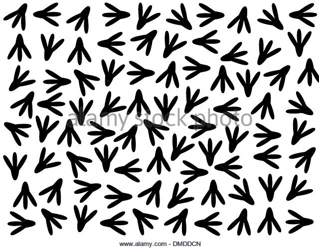 640x500 Animal Footprint Black And White Stock Photos Amp Images