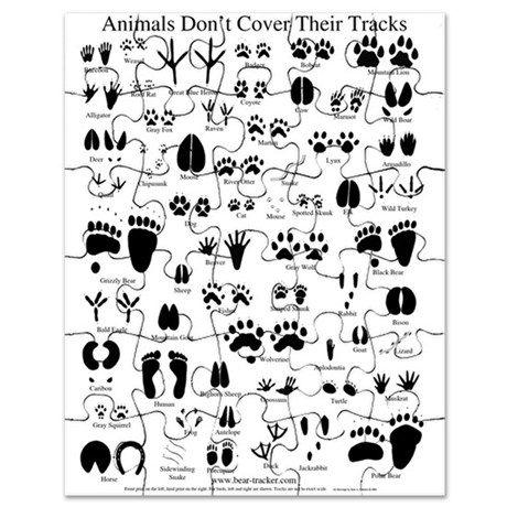 Animal Tracks Drawing at GetDrawings | Free download