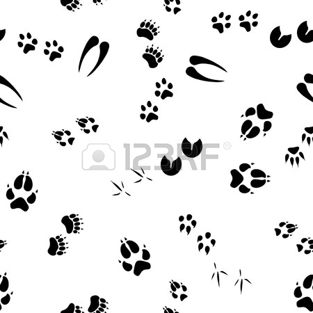 450x450 Raster Illustration Animal And Birds Footprints With Names Icon