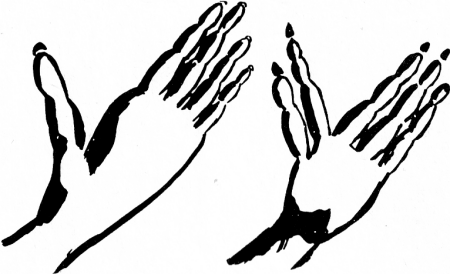 450x274 Tracking Animals