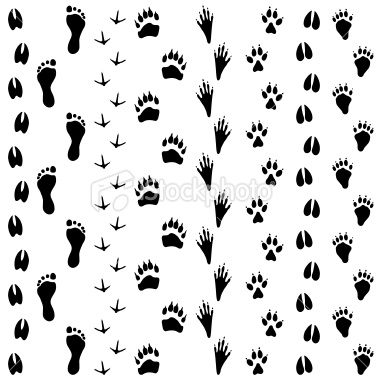 380x380 Animal Tracks Tattoo Ideas