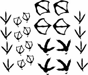 300x256 Bird Tracks Decal Footprint Stickers Custom Turkey Pheasant Goose