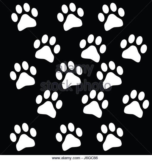 511x540 Animal Footprints Illustration Stock Photos Amp Animal Footprints