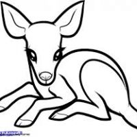 200x200 Easy Drawings Of Animals