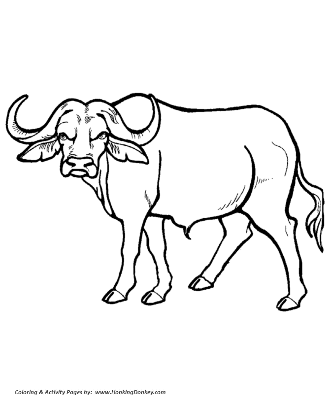 670x820 Wild Animal Coloring Pages African Buffalo Coloring Page