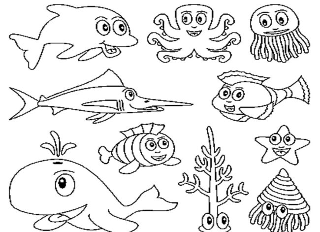 650x471 Sea Animals Drawings Nice Coloring Pages For Kids