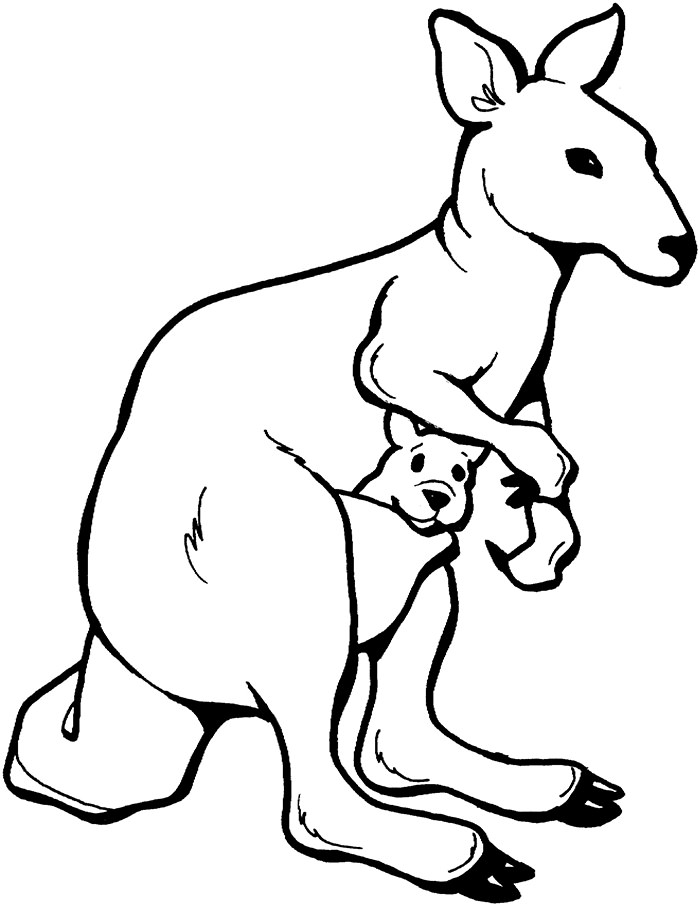 700x906 Australian Animal Template