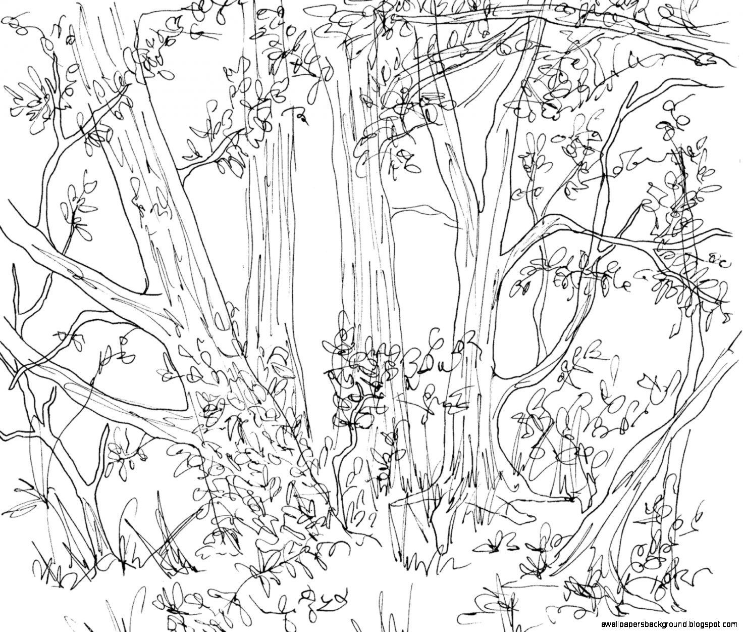 1472x1251 Forest Animals Drawing Wallpapers Background