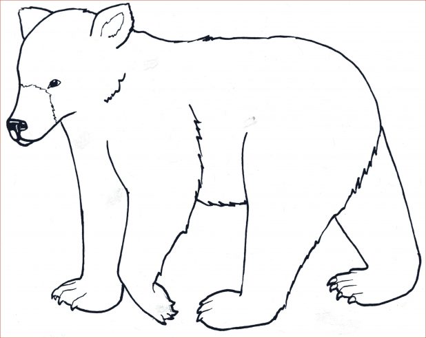 618x491 Drawing Of Wild Animals Images About Pages On Coloring Halloween