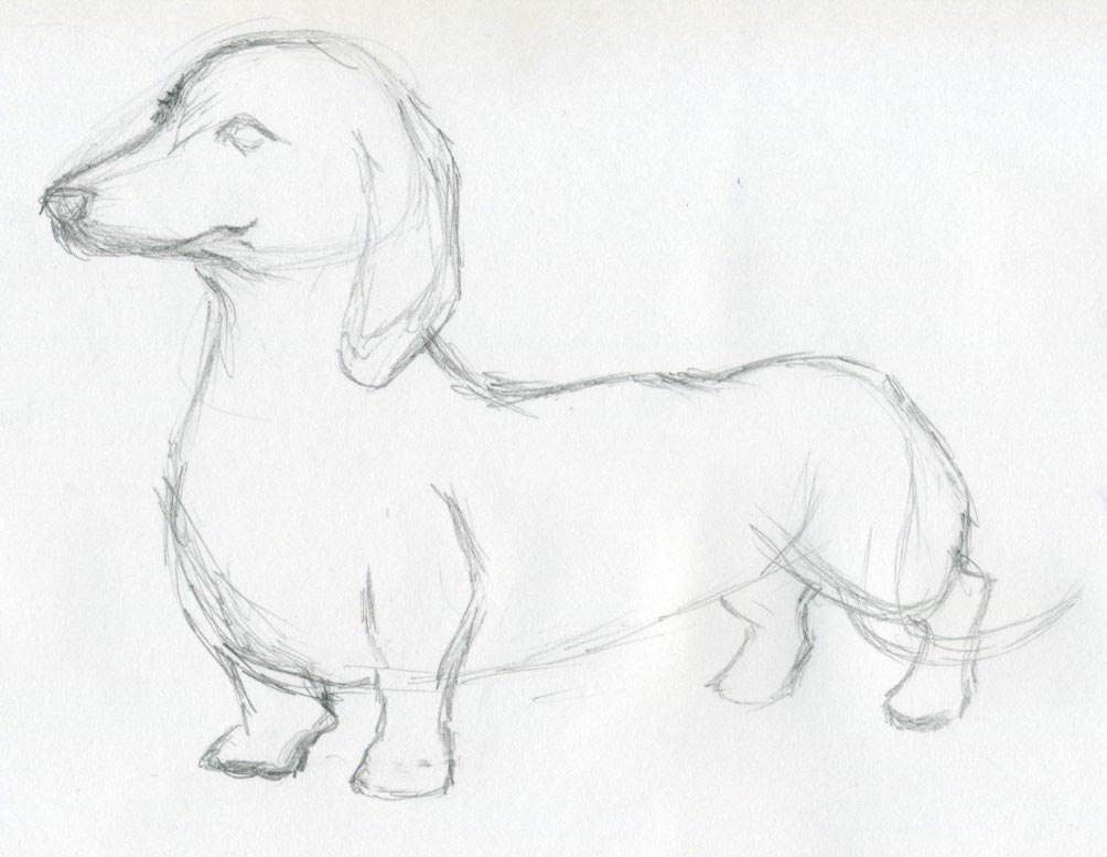 1004x777 Gallery Easy Sketches Of Animals,