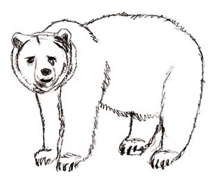 300x258 Index Of Animals