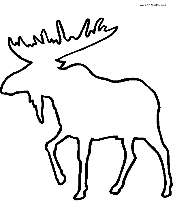 600x756 Caribou