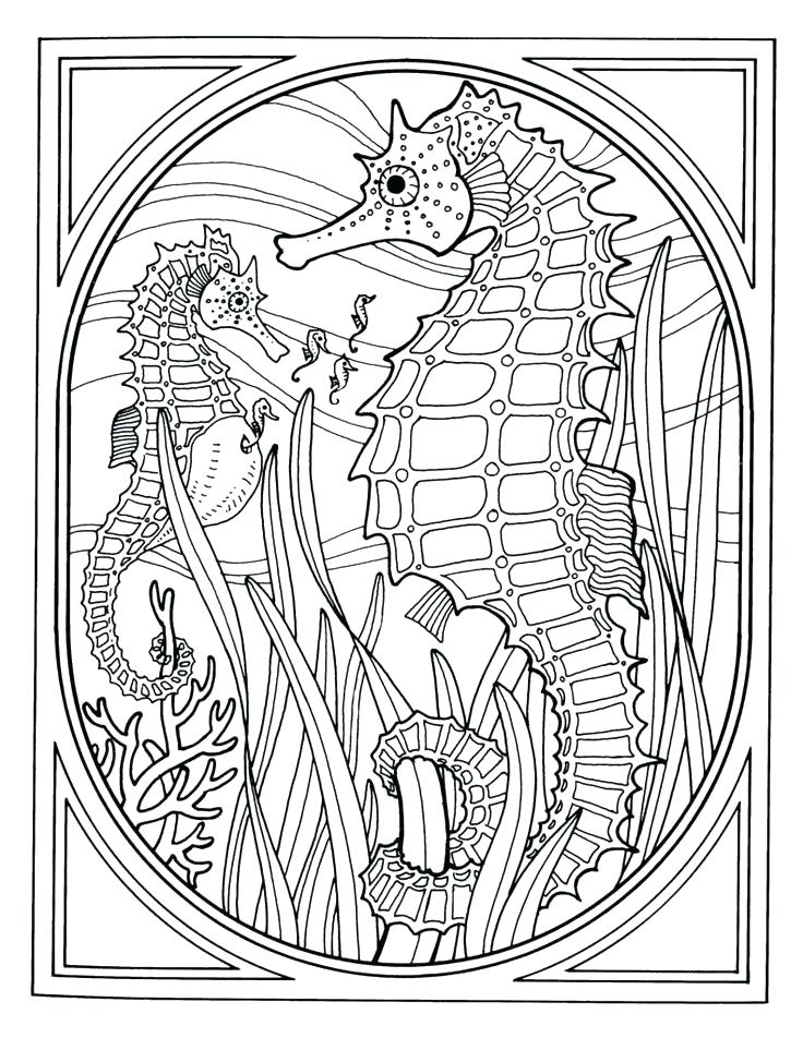 736x952 Marine Life Coloring Pages Sea Animals Coloring Pages Fish Free