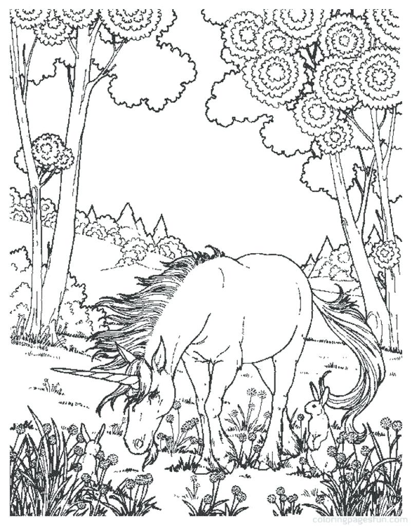 802x1024 Coloring Coloring Pages Animals Realistic