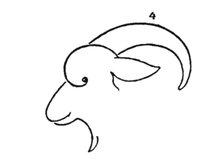 300x236 Step By Step Drawing Animals