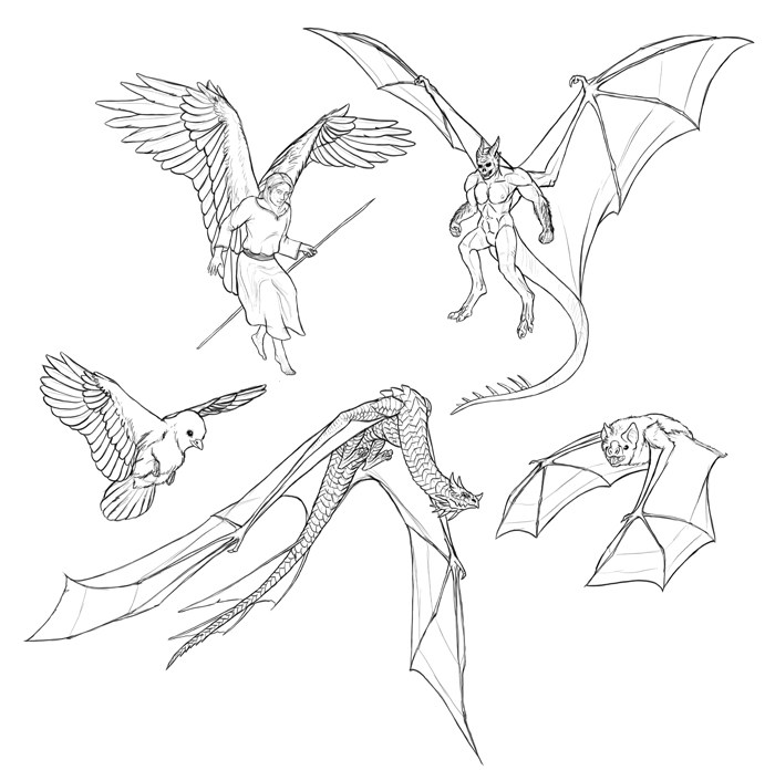 700x706 How To Draw And Animate Wings By Monikazagrobelna