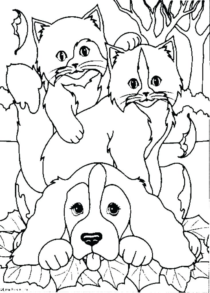 733x1024 Dog And Cat Coloring Pages Drawing Colori On Cat And Dog Coloring