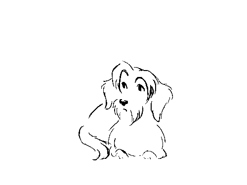 500x375 Gif Dog Animation Doodles Sketches Lise Art