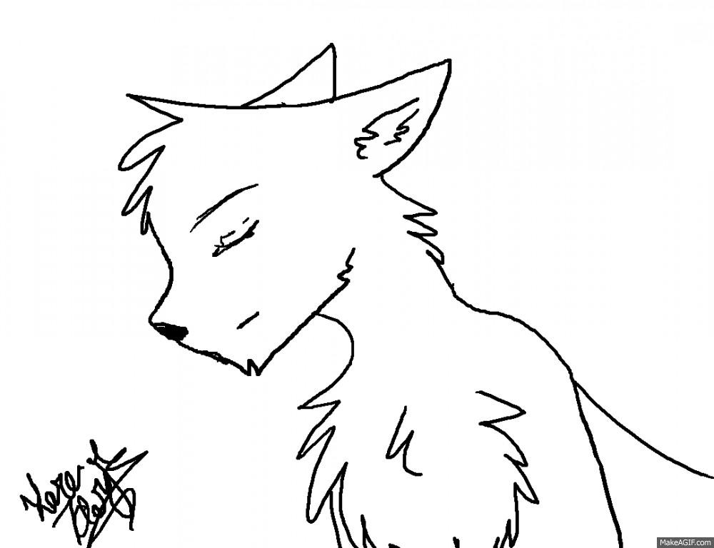 1000x768 Wolf Animation By Dumafire