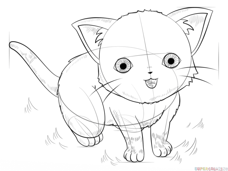 765x575 How To Draw An Anime Cat Step By Step Drawing Tutorials