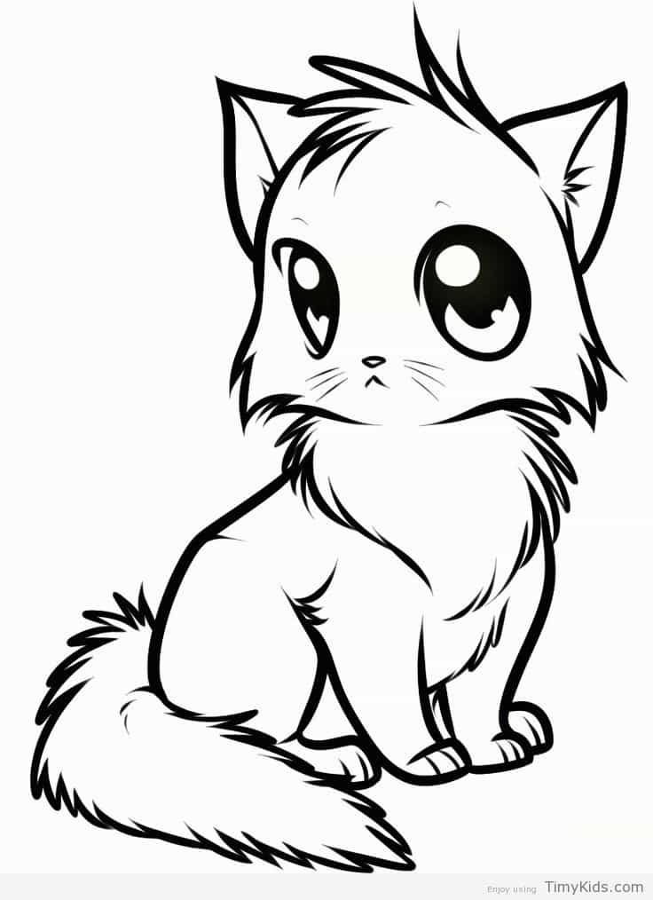 736x1014 Anime Cat Coloring Page Timykids