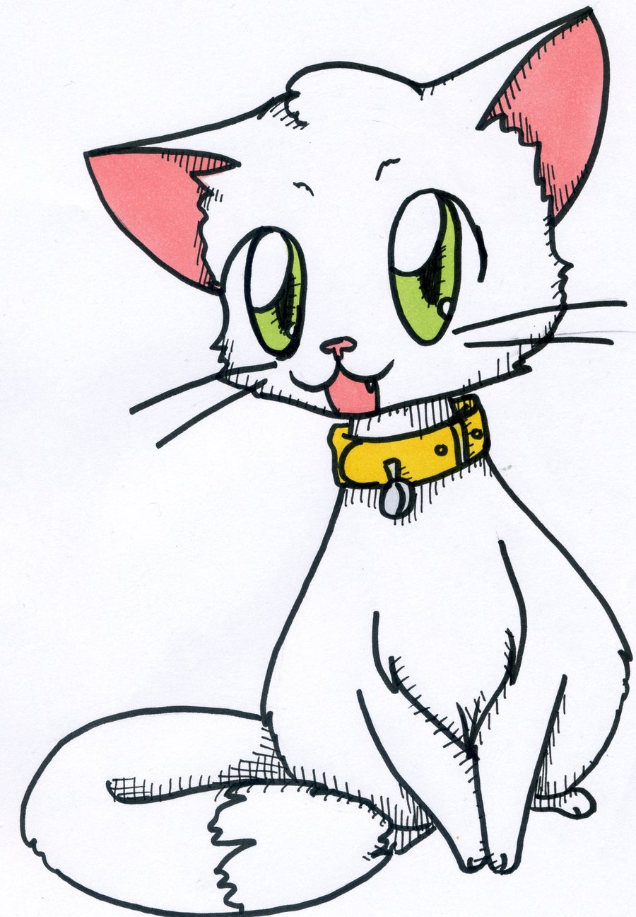 900x1296 Drawings Of Anime Cats