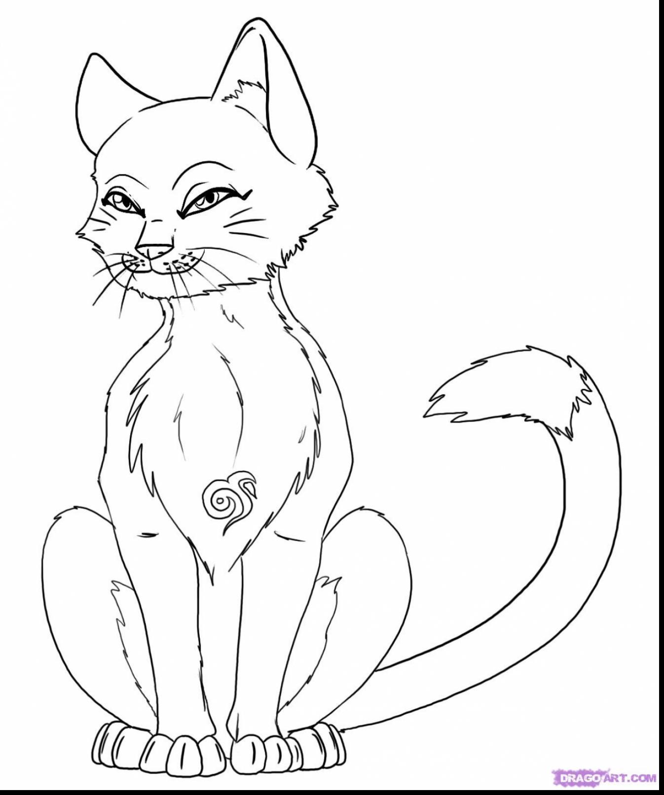1346x1611 Magnificent How To Draw Anime Cats With Warrior Cats Coloring