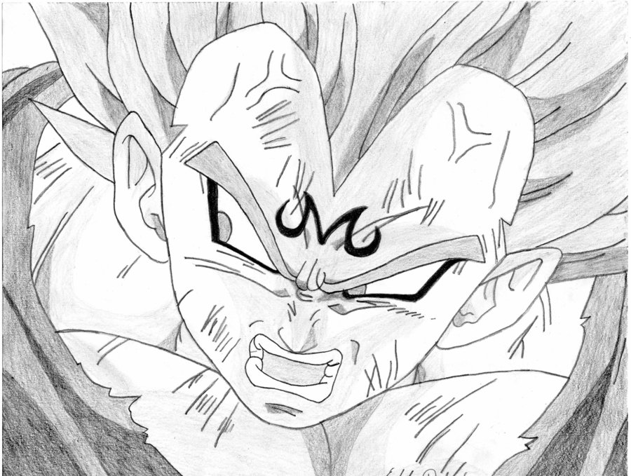 900x679 Dragon Ball Z Majin Vegeta Drawing