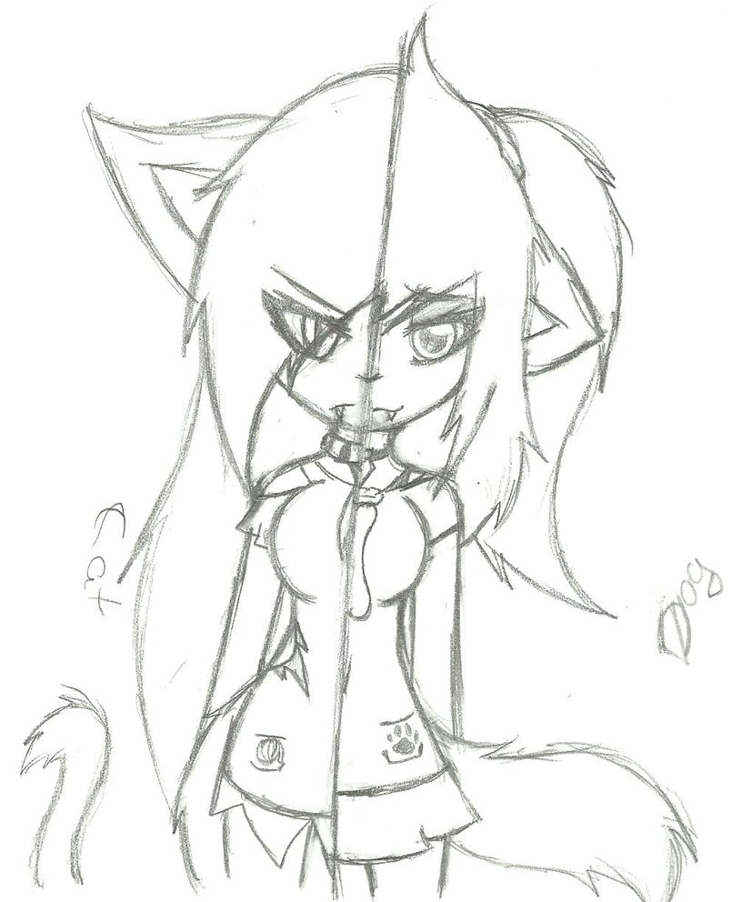 805x992 Anime Practice Dog Vs Cat By Xx Kaii Xx