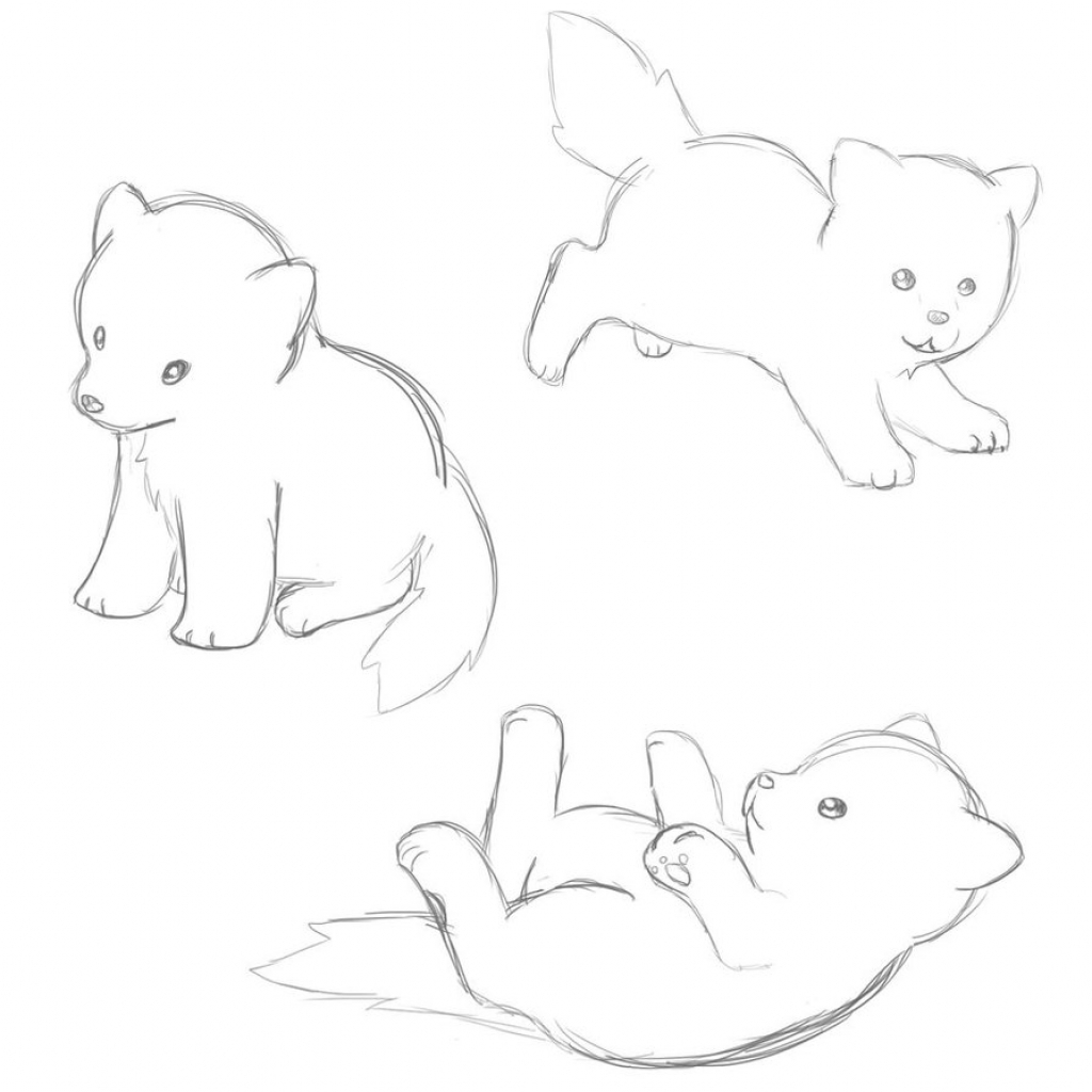 1024x1024 Anime Dog Sketch Cute Dog Sketches