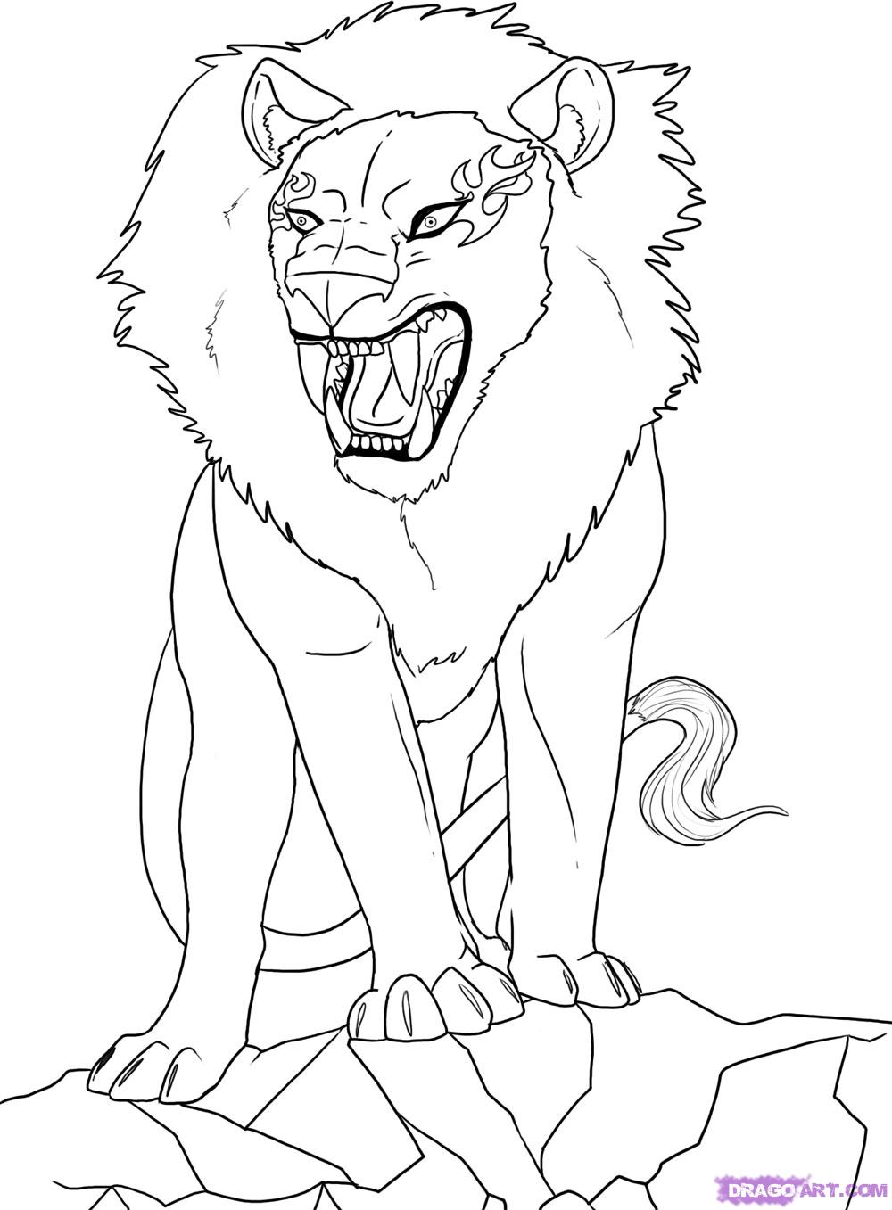 1000x1357 How To Draw An Anime Lion Step By Animals How Adult