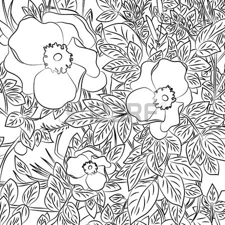 450x450 Bush With Pink Flowers.vector Illustration, Anime, Black Outline