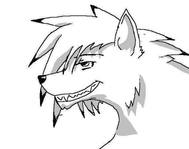 633x501 Anime Wolf Drawings Easy Anime Wolf Drawings With Wings