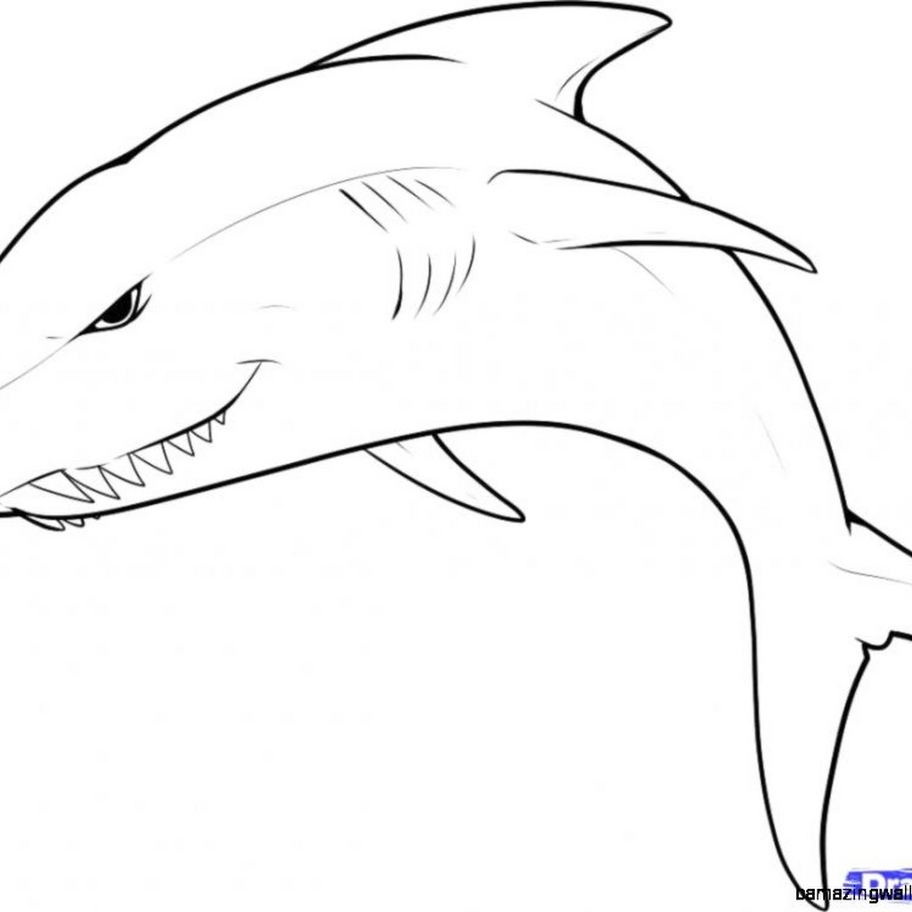 1024x1024 Anime Drawings In Pencil Easy Step By Step