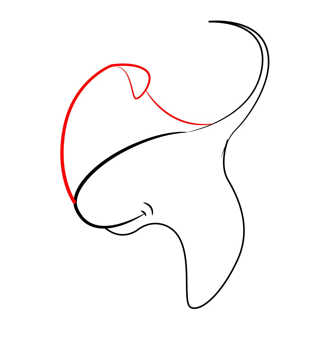 1080x1195 Ear Drawing Cartoon 6. How To Draw Anime Ears, Draw Manga Ears